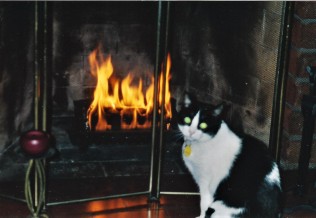 Daisy fireplace 1998