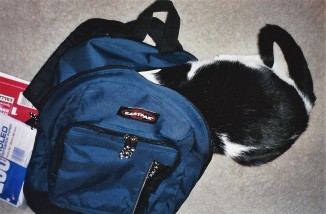Daisy in backpack 1998
