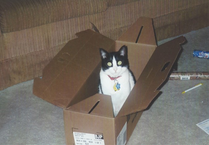 Daisy in box from Current Oct 2002